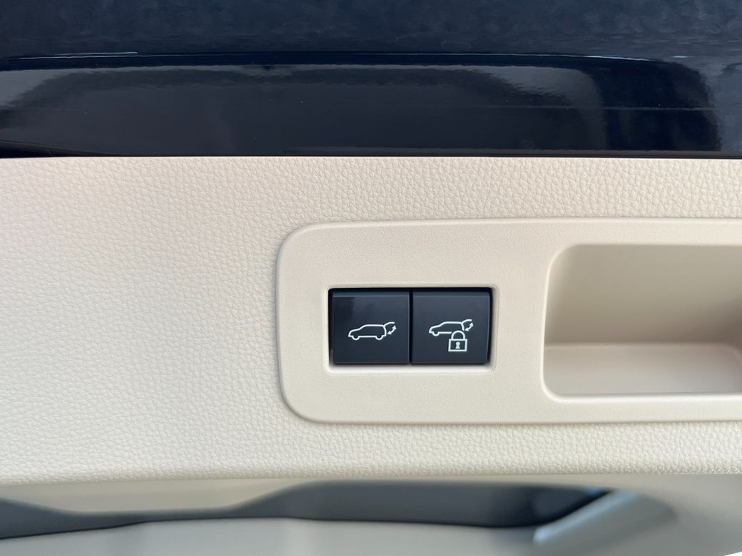 2025 Toyota Land Cruiser Amazon