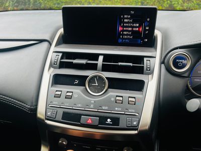 2019 Lexus NX 300h