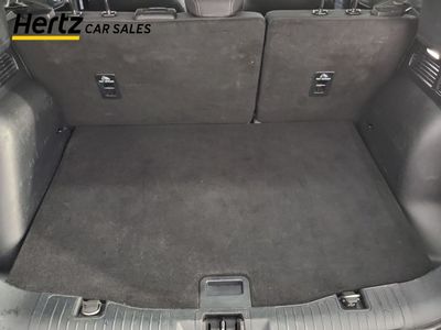 2024 Ford Kuga