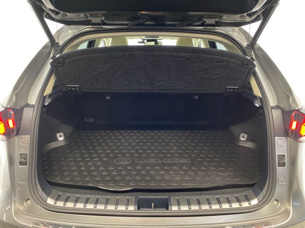 2019 Lexus NX 300h
