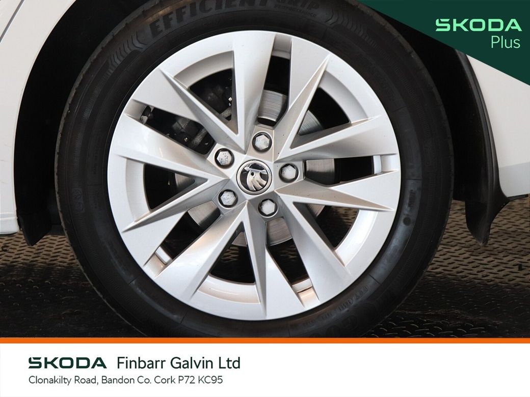 2023 Skoda Octavia