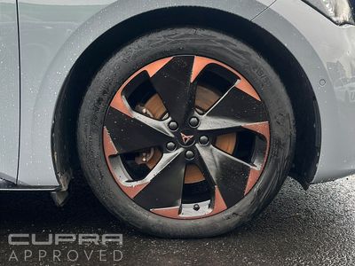 2023 Cupra Born