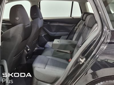 2023 Skoda Octavia