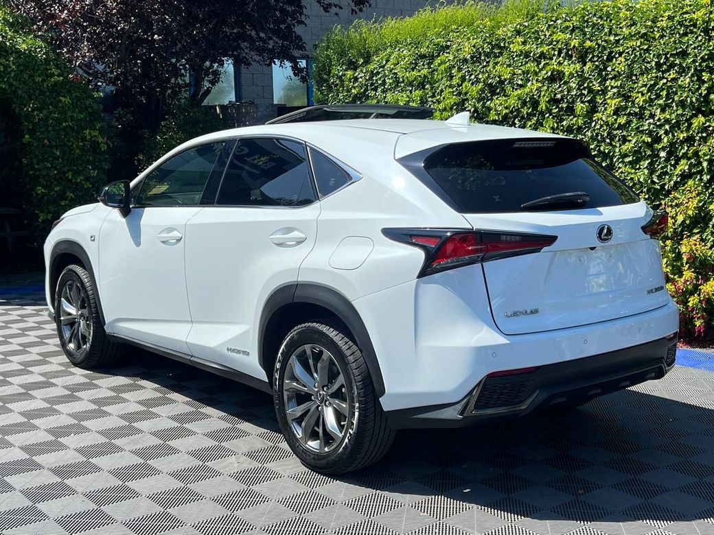 2019 Lexus NX 300h