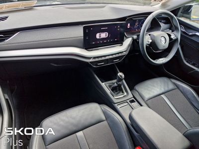 2023 Skoda Octavia
