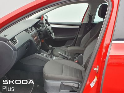 2019 Skoda Octavia