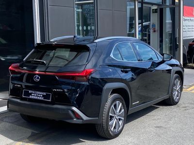 2022 Lexus UX 300e