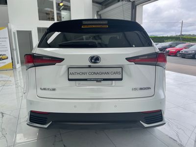 2019 Lexus NX