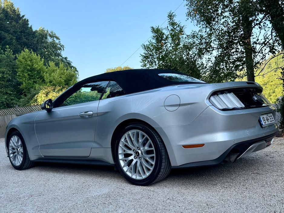 2019 Ford Mustang
