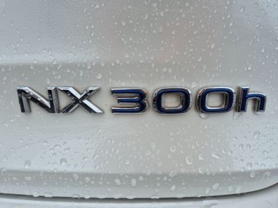 2021 Lexus NX 300h