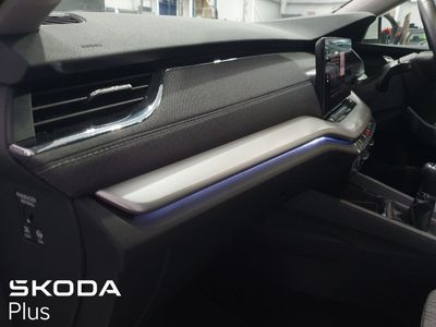 2023 Skoda Octavia