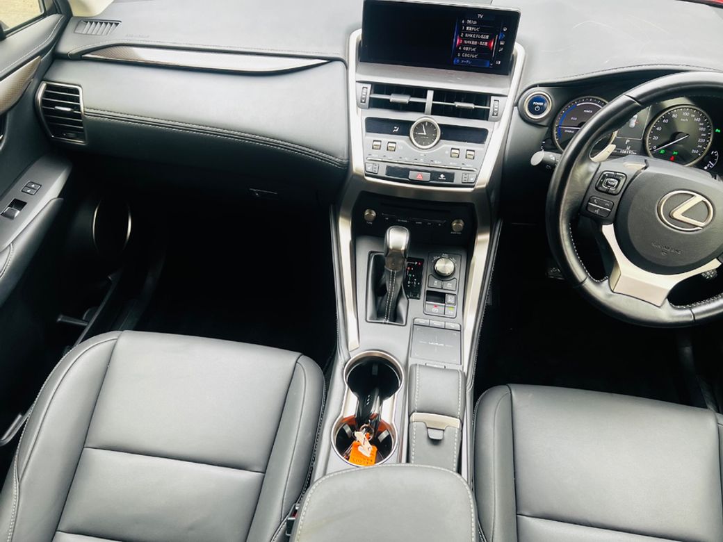 2019 Lexus NX 300h