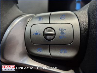 2026 BYD Dolphin Surf