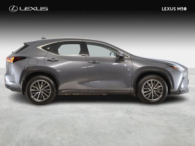 2023 Lexus NX