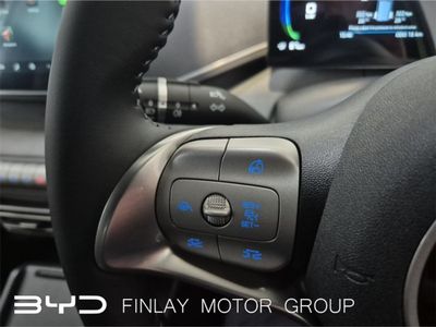 2026 BYD Dolphin Surf