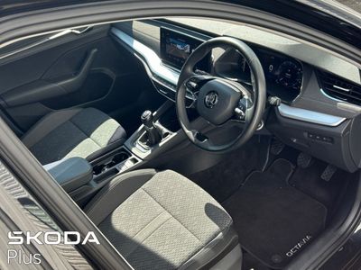2023 Skoda Octavia