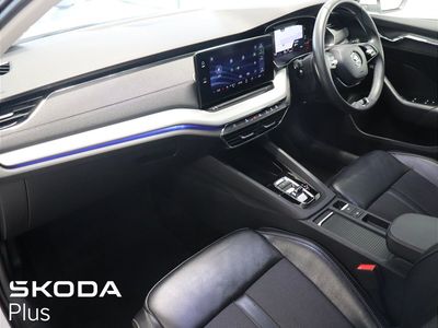 2023 Skoda Octavia