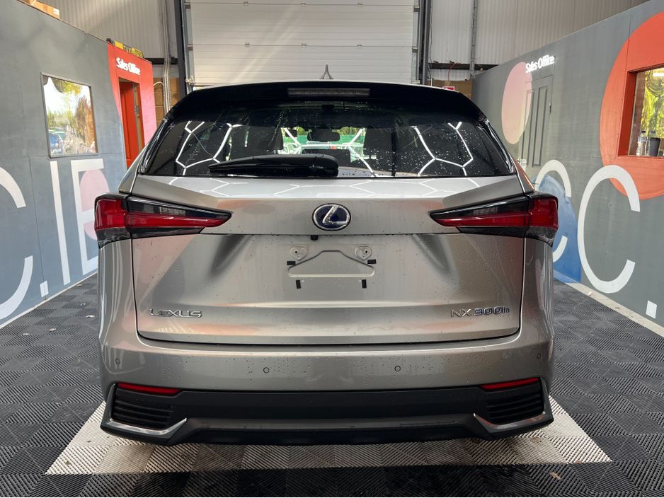 2019 Lexus NX 300h