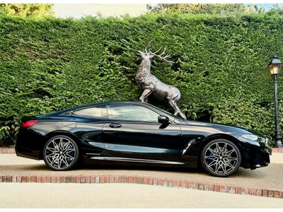 2020 BMW 8 Series