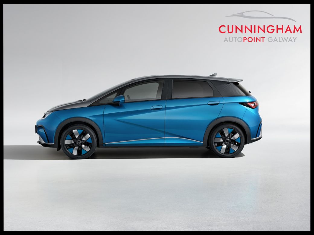 2025 BYD Dolphin