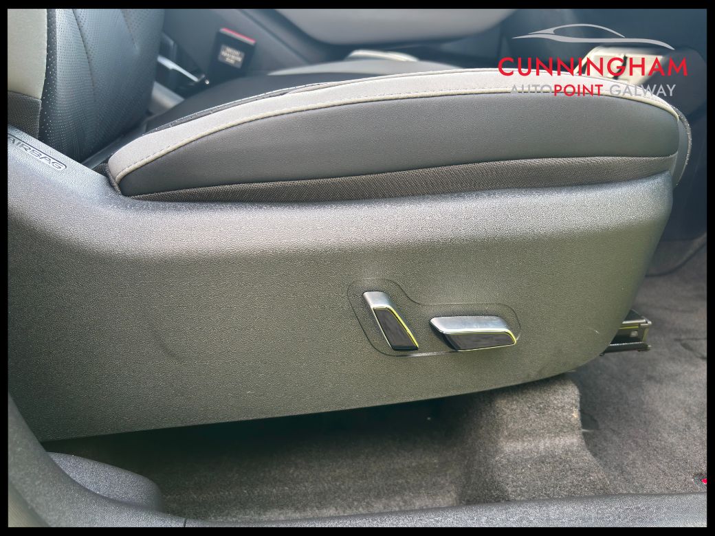2026 BYD Dolphin Surf