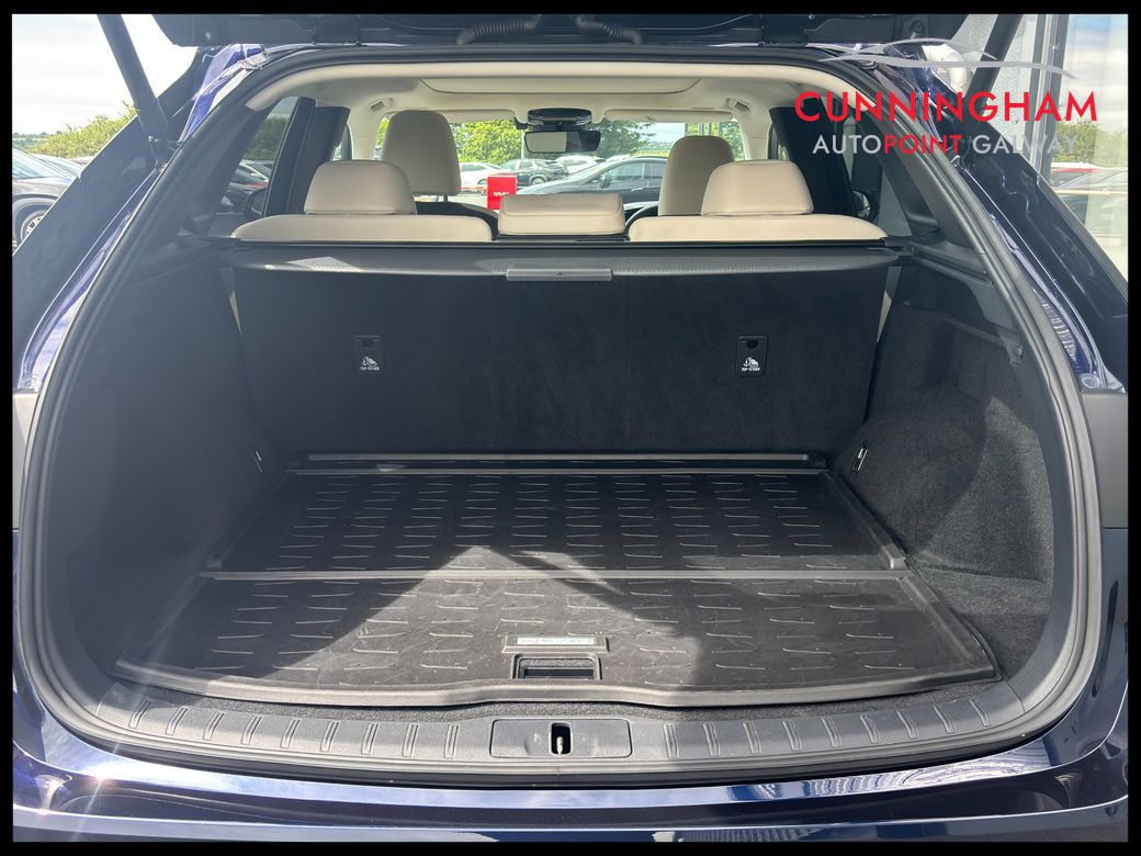2024 Lexus RX450h+