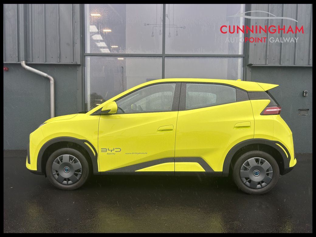 2026 BYD Dolphin Surf