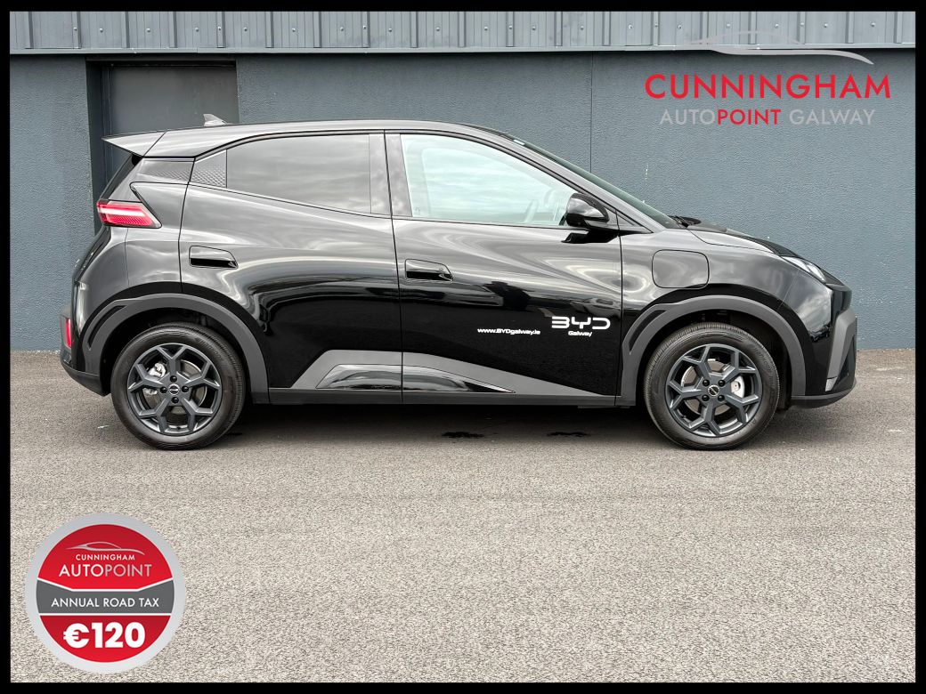 2025 BYD Dolphin Surf