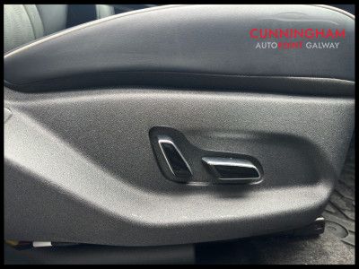 2025 BYD Dolphin