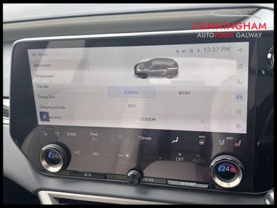 2024 Lexus RX450h+