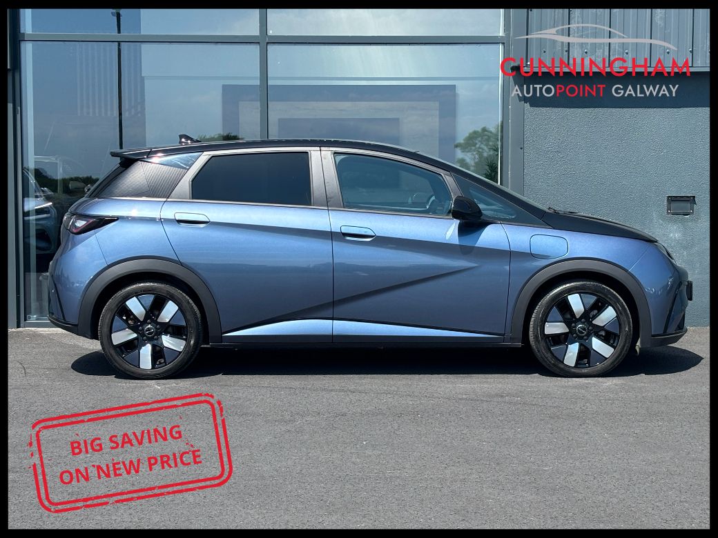2025 BYD Dolphin