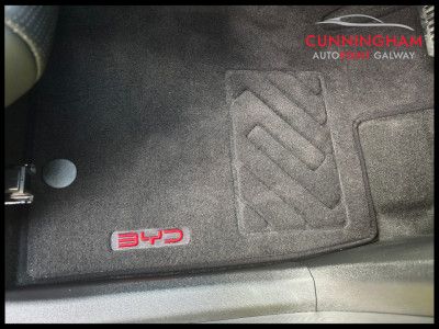 2026 BYD Dolphin Surf