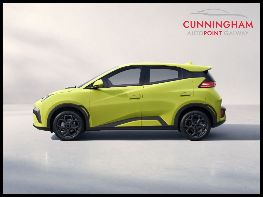 2026 BYD Dolphin Surf