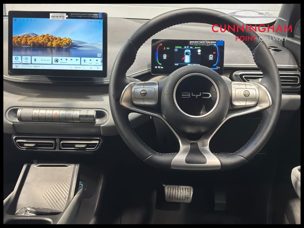 2026 BYD Dolphin Surf