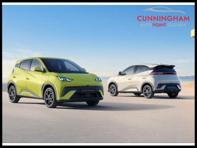 2026 BYD Dolphin Surf