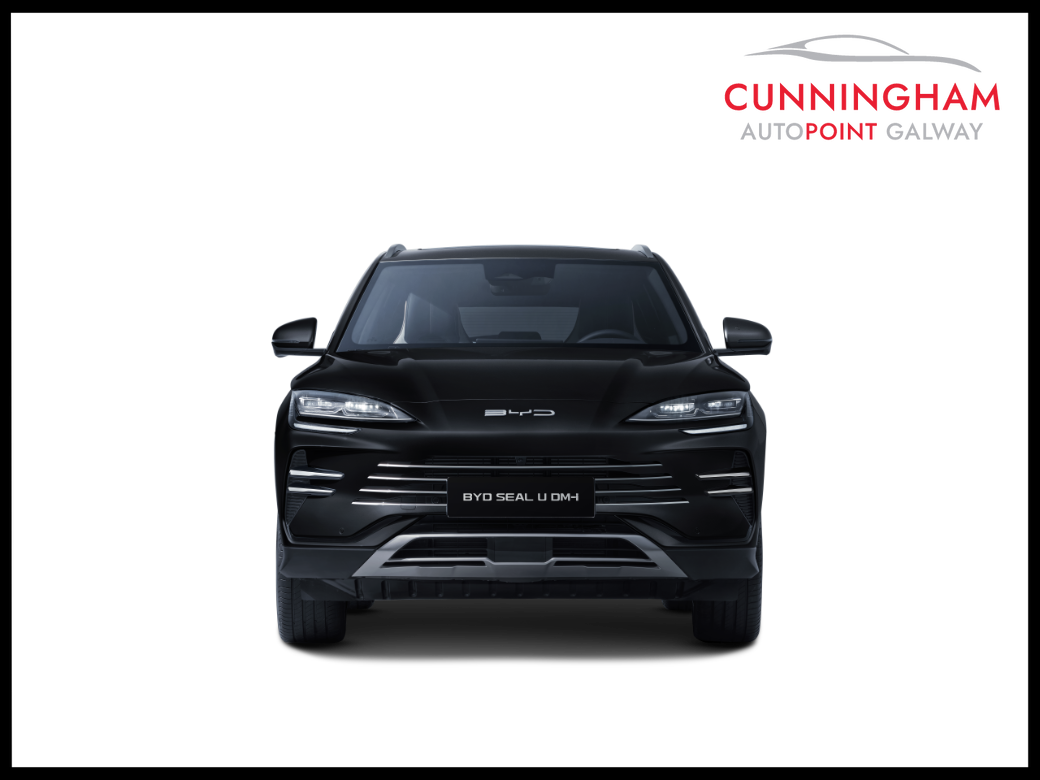 2025 BYD Seal U