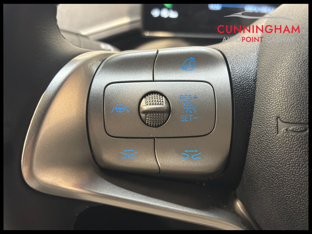 2026 BYD Dolphin Surf