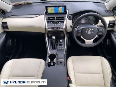 2019 Lexus NX