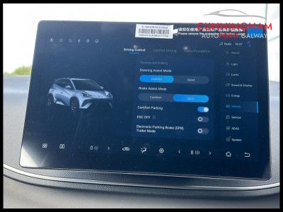 2026 BYD Dolphin Surf