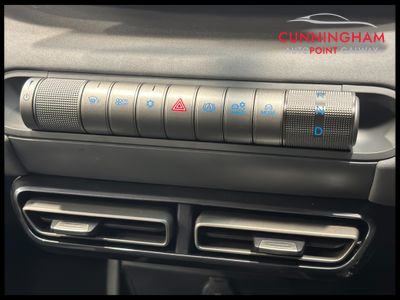 2026 BYD Dolphin Surf