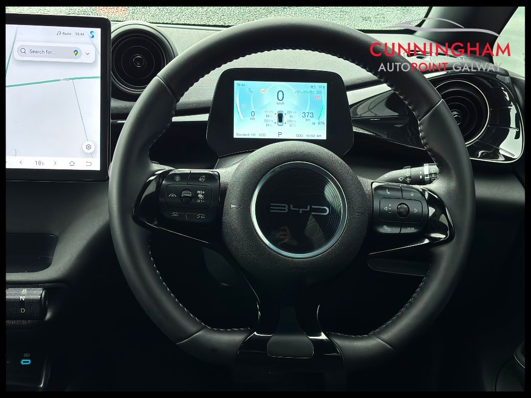 2025 BYD Dolphin
