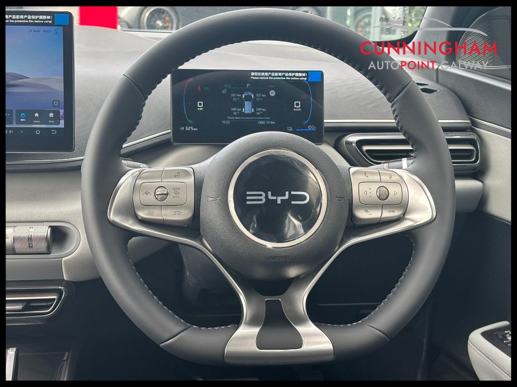 2026 BYD Dolphin Surf