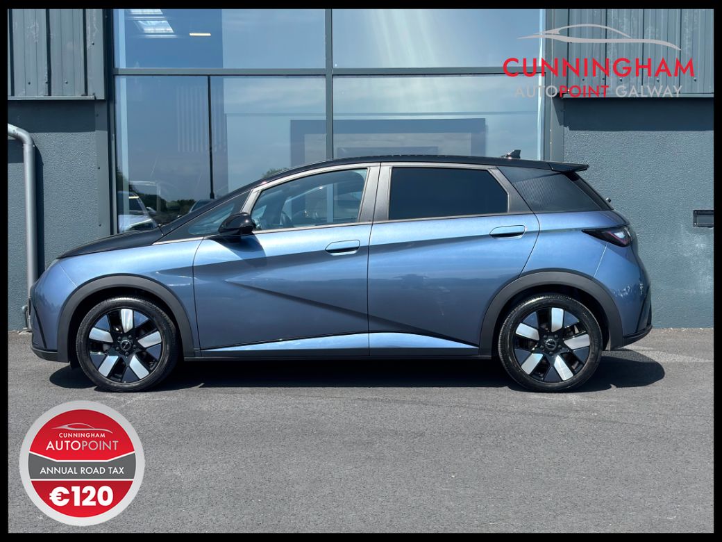 2025 BYD Dolphin