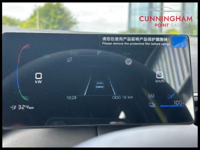 2026 BYD Dolphin Surf