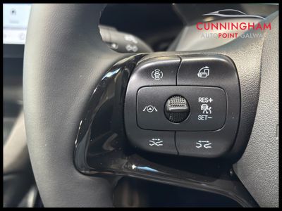 2026 BYD Dolphin
