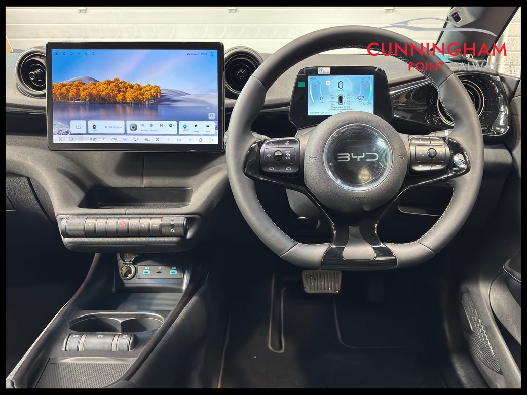 2026 BYD Dolphin