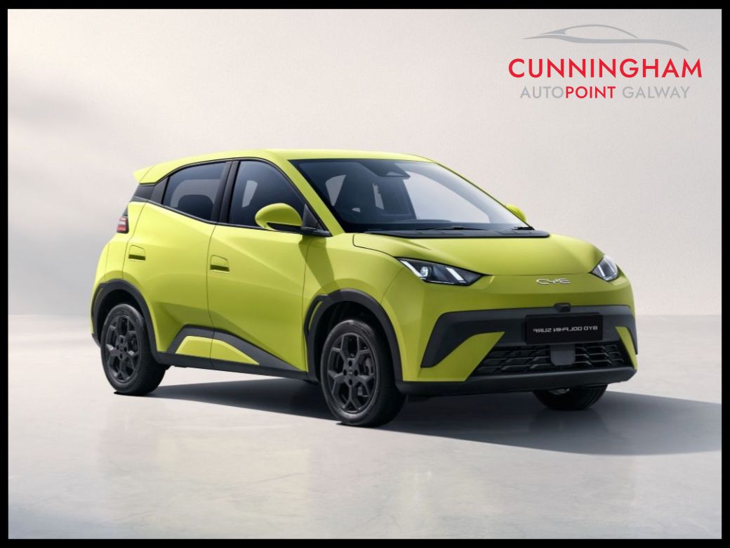 2026 BYD Dolphin Surf