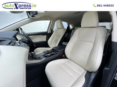 2020 Lexus NX