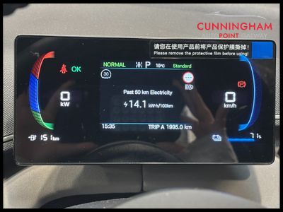 2026 BYD Dolphin Surf