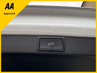 2023 Skoda Octavia